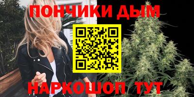 гидра Новозыбков