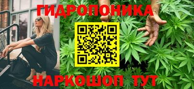 гидра Новозыбков