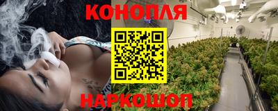 гидра Новозыбков