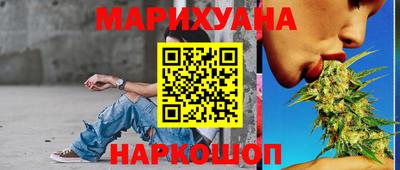 гидра Новозыбков