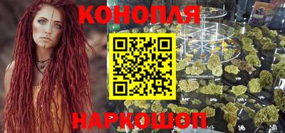 амф Новокубанск