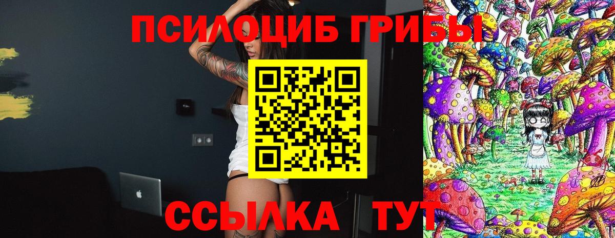 наркошоп  Вход с VPN  Сухой Лог  Галлюциногенные грибы Psilocybine cubensis 
